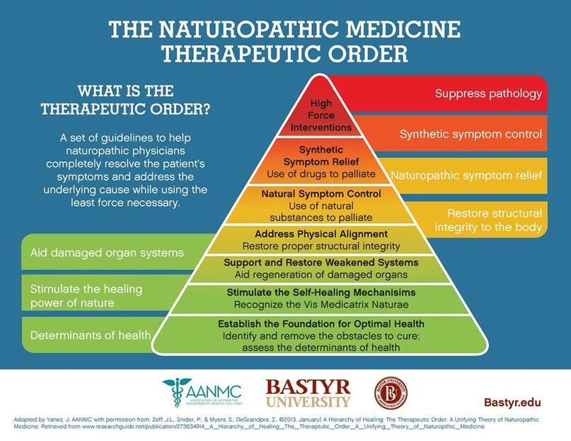 The therapeutic order in naturopathic medicine